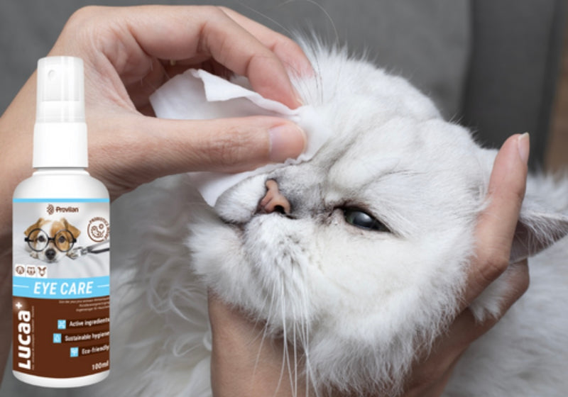 LUCAA+ Pet Probiotic Eye Care - 100ml Spray