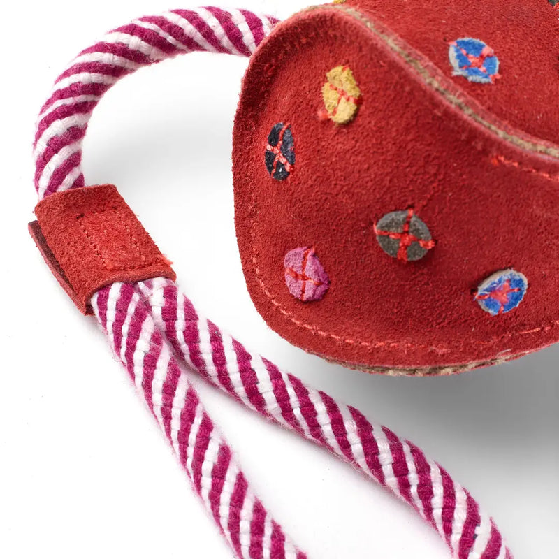 Monsieur Bauble, Eco Dog Toy