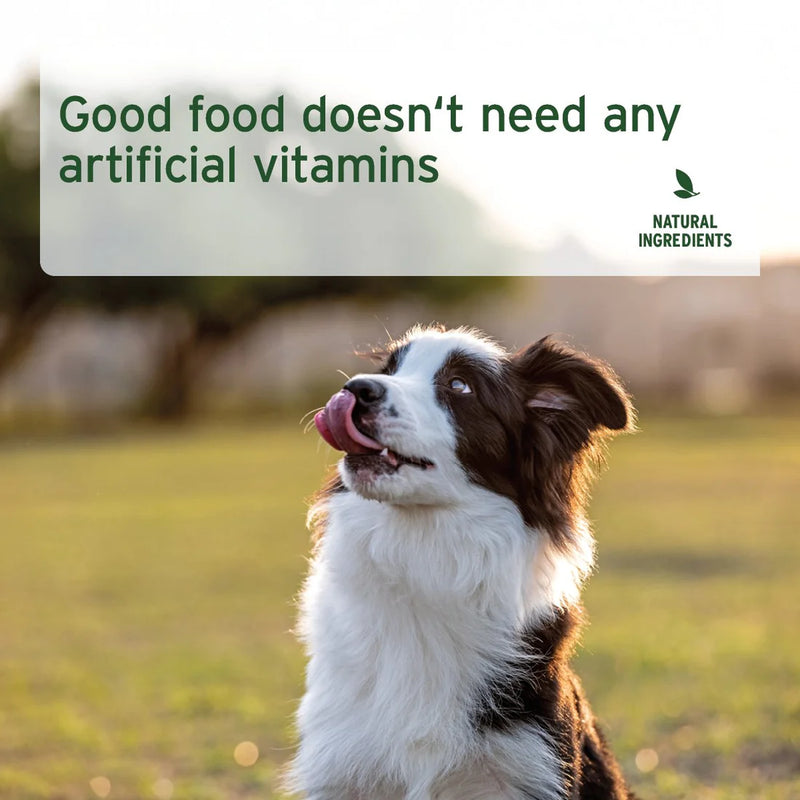AniForte Pure Goat - Wet Food for Dogs 400g