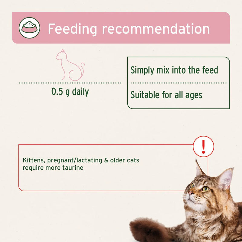 AniForte Taurine Powder for Cats 100g