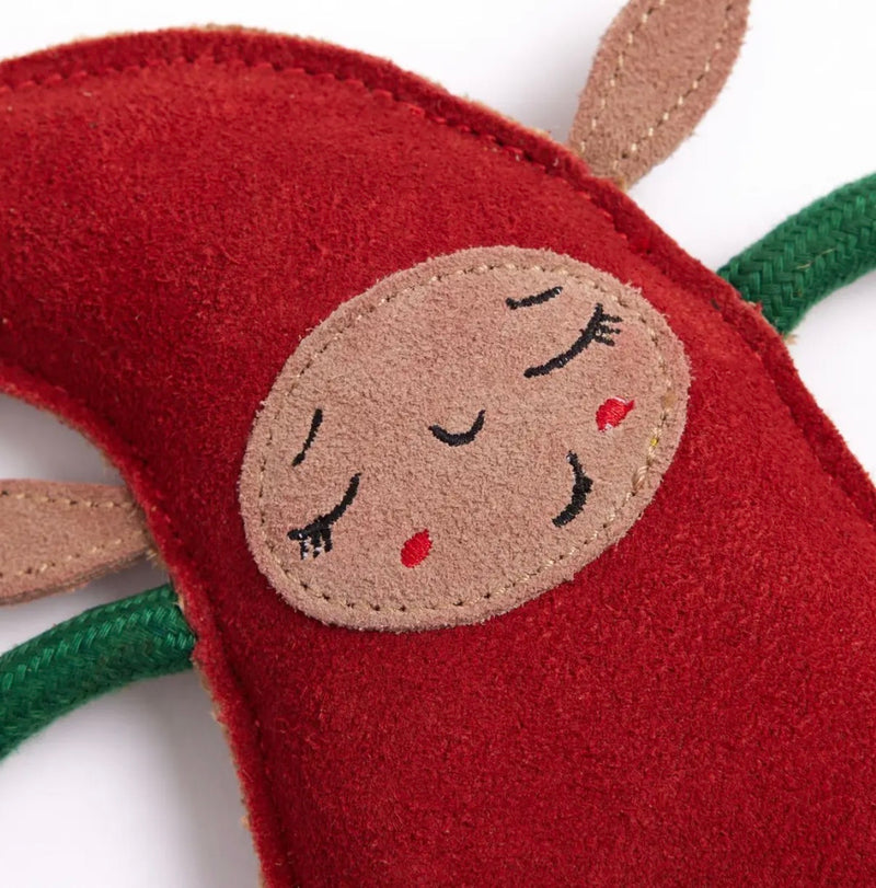 Isla the Elf, Eco Dog Toy