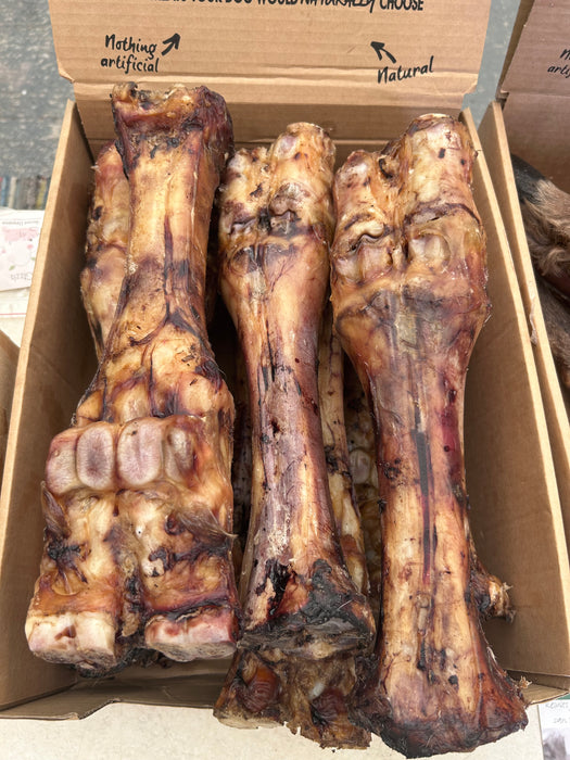 Beef Leg Bones