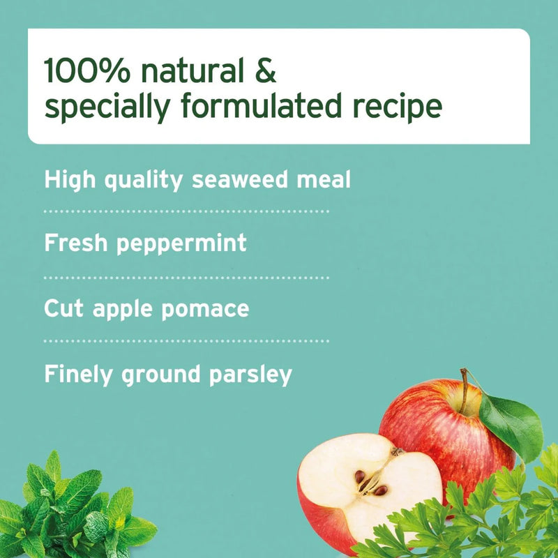 AniForte Dental Powder for Dogs and Cats 300g