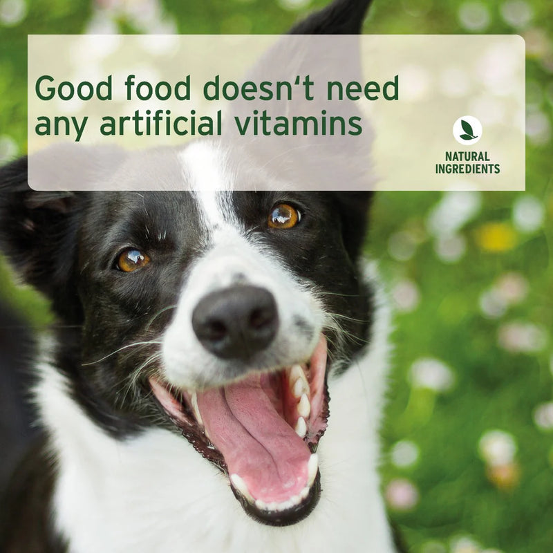 AniForte - PureNature Pure Beef - Wet food for Dogs 400g