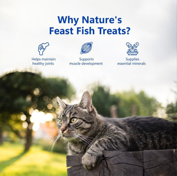 Pawfect Freeze-Dried Fish Meat 50g