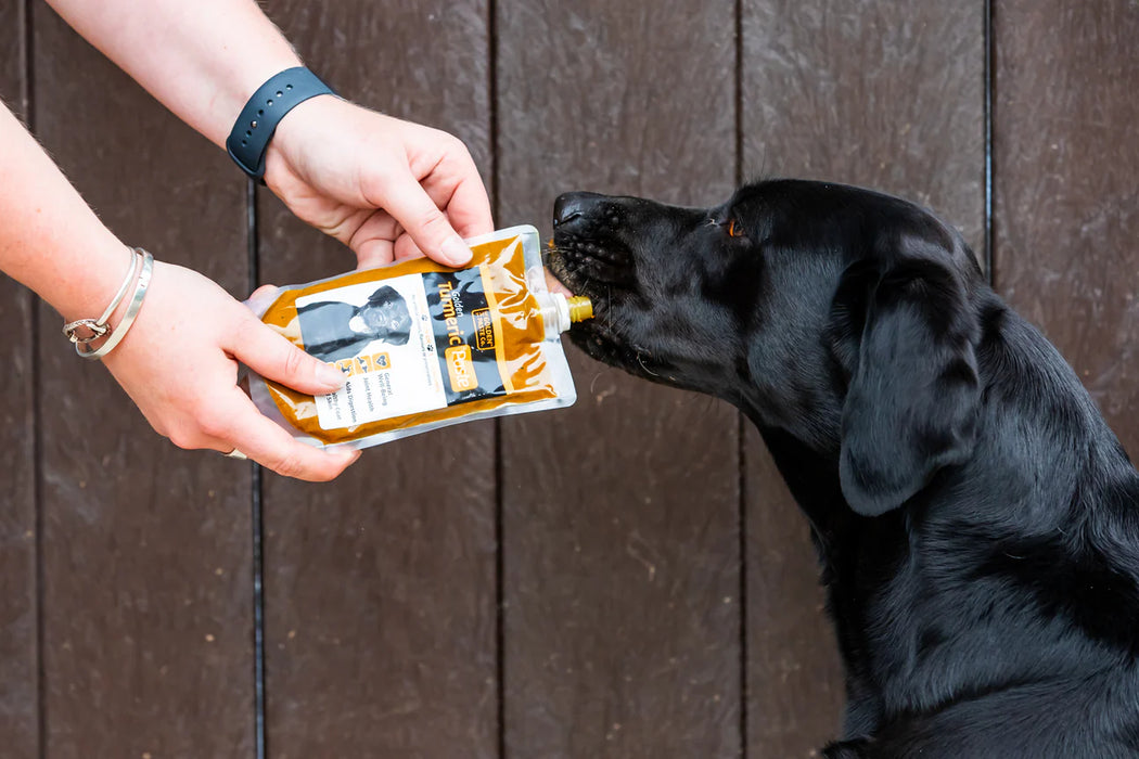 Tumeric Golden Paste for Dogs 200g