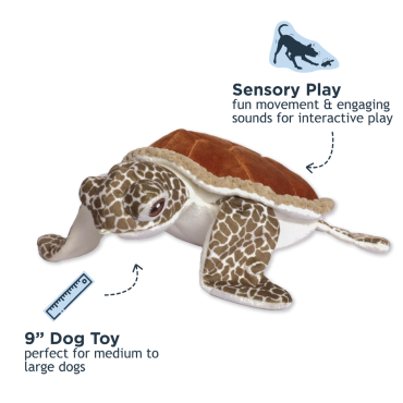 Tall Tails Animated Sea Turtle