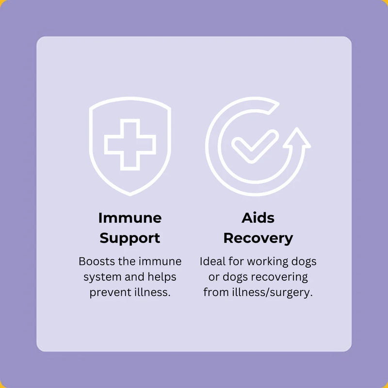 Axels Elixirs Beefy Buffalo Happy Bones