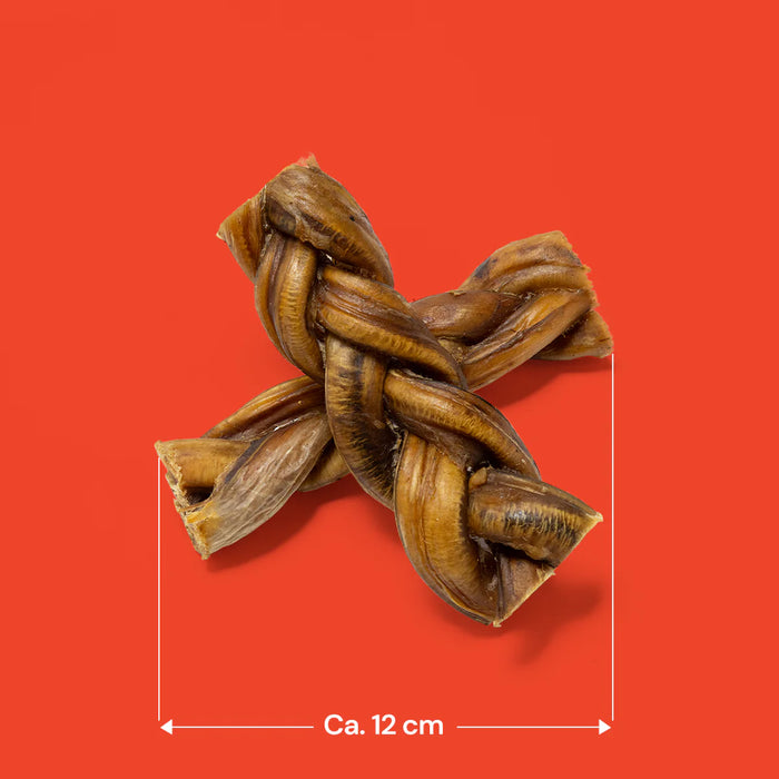 Braided Pizzle 12cm