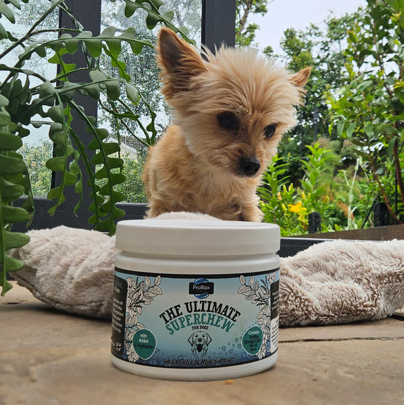 Proflax Calming Super Chew for Dogs – 120g