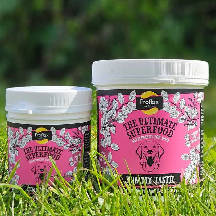 Proflax Tummy Tastic for Dogs 350g