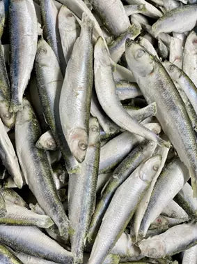 Dougies Sprats 1kg