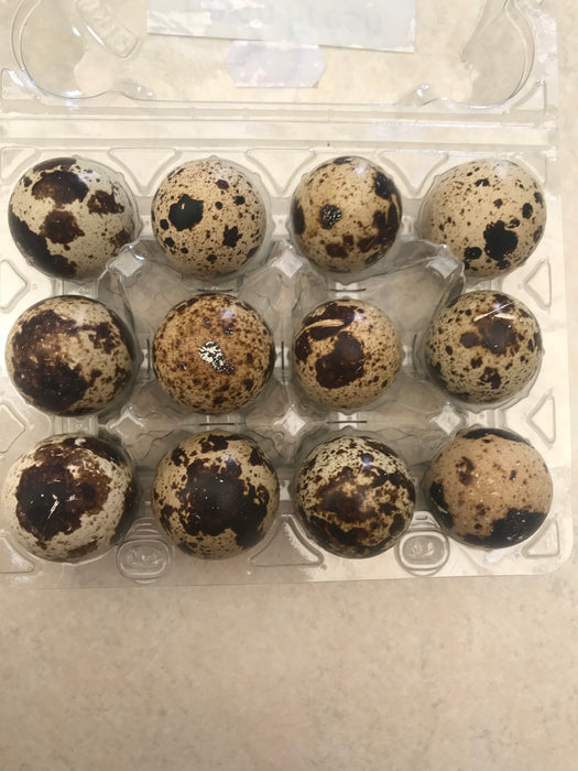 Quail Eggs - 12