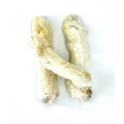 Rabbit Feet