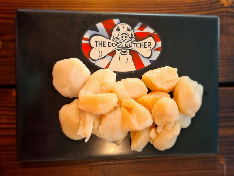 Scallops 500g