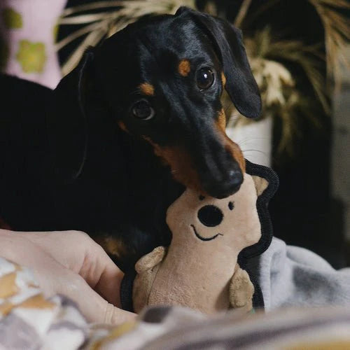 Beco Quokka Rough & Tough Recycled Dog Toy