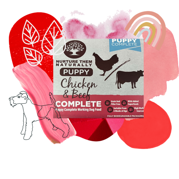 Puppy Chicken & Beef 500g