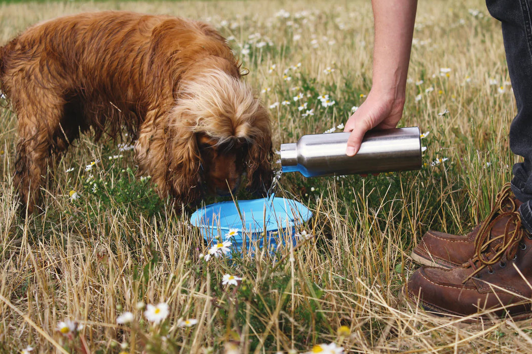 Beco Collapsible Bowl - Small