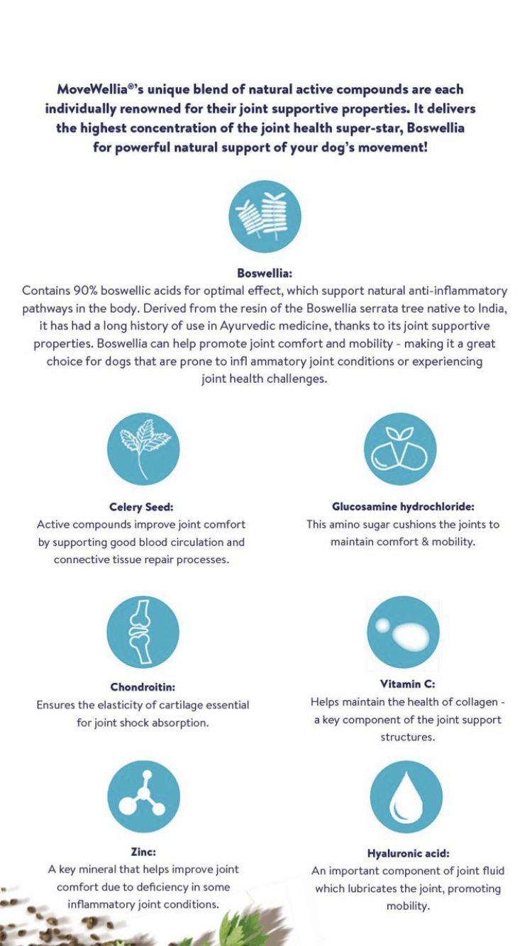 MoveWellia 200 tablets