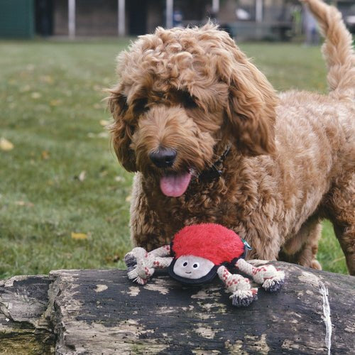 Beco Spider Rough & Tough Recycled Dog Toy