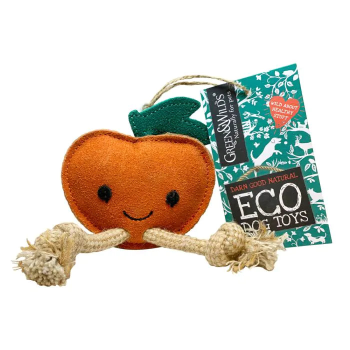 Sancho the Satsuma Eco Toy