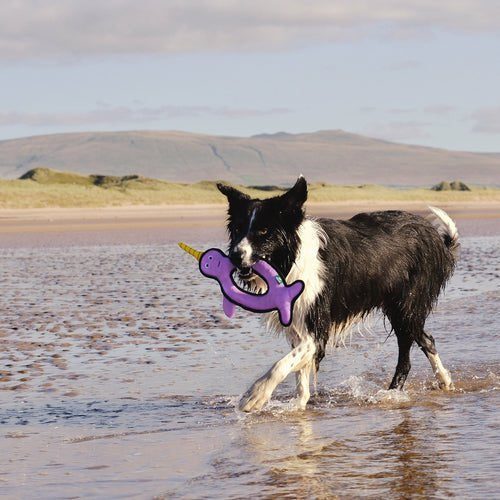 Beco Narwhal Rough & Tough Recycled Dog Toy