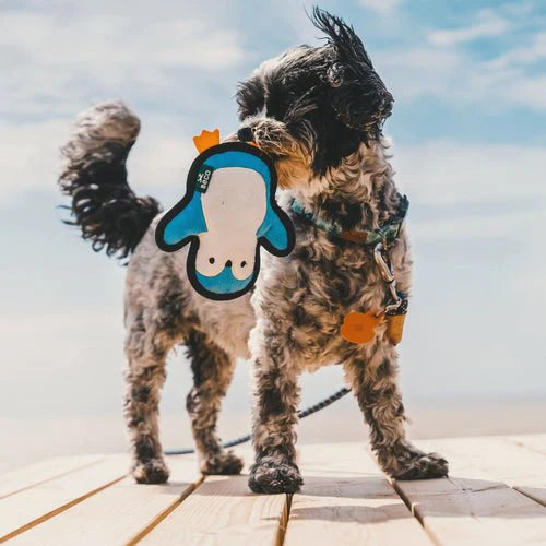 Beco Penguin Rough & Tough Recycled Dog Toyb