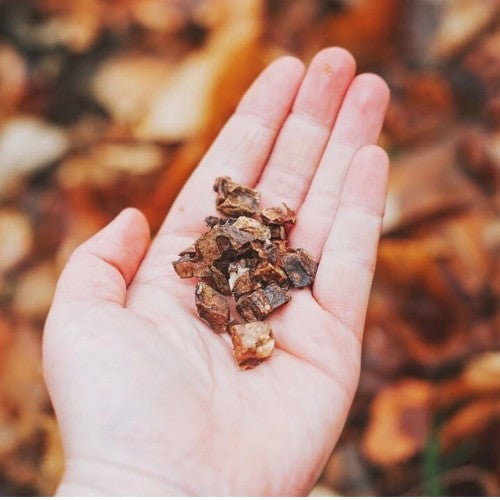 Anco Trainers Fish 70g